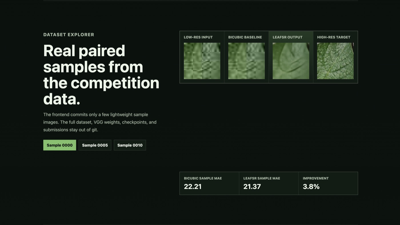 LeafSR comparison of low-resolution input, bicubic baseline, model output, and high-resolution target
